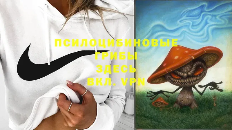 Псилоцибиновые грибы Magic Shrooms  Зима 